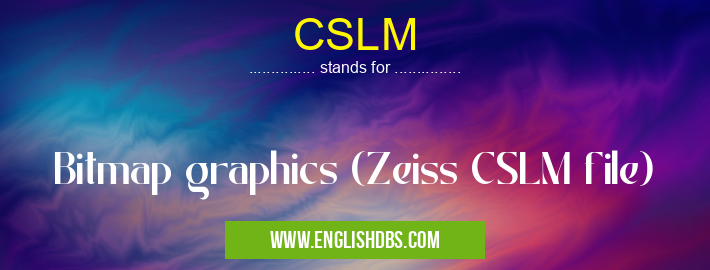 CSLM means Bitmap graphics (Zeiss CSLM file) CSLM