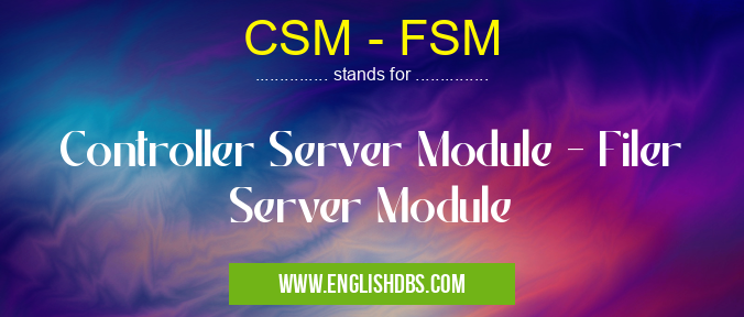 CSM - FSM means Controller Server Module - Filer Server Module CSM - FSM