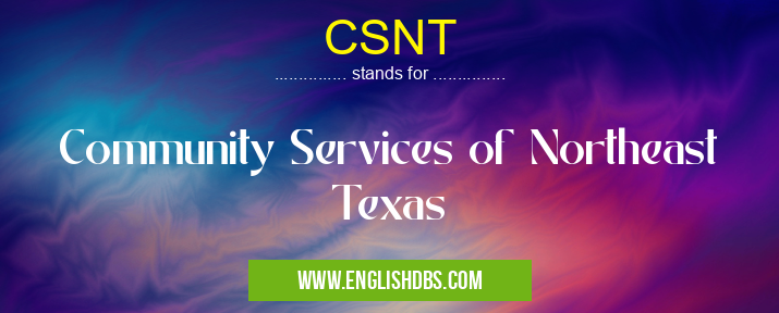CSNT means Community Services of Northeast Texas CSNT