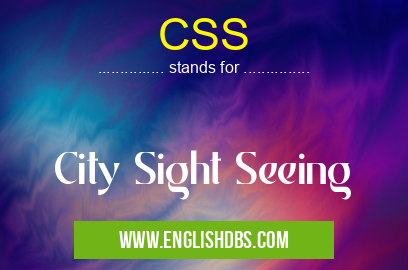 CSS means City Sight Seeing CSS