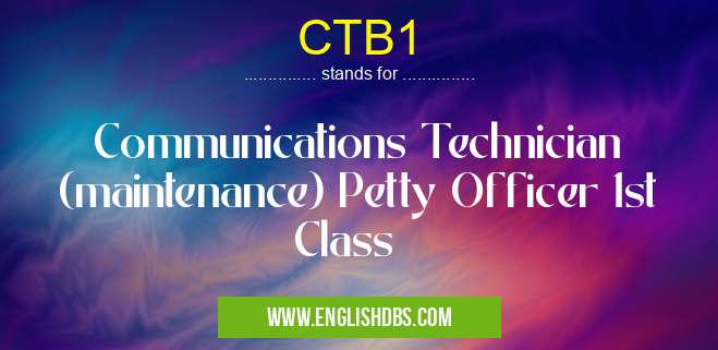 CTB1 means Communications Technician (maintenance) Petty Officer 1st Class CTB1
