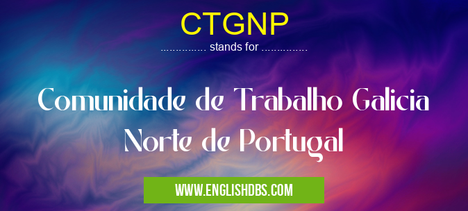 CTGNP means Comunidade de Trabalho Galicia Norte de Portugal CTGNP