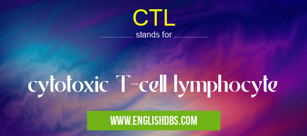 CTL means cytotoxic T-cell lymphocyte CTL