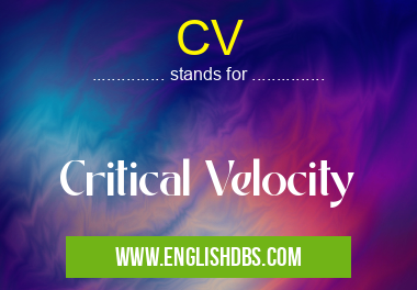 CV