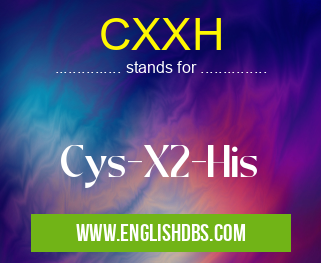 CXXH means Cys-X2-His CXXH