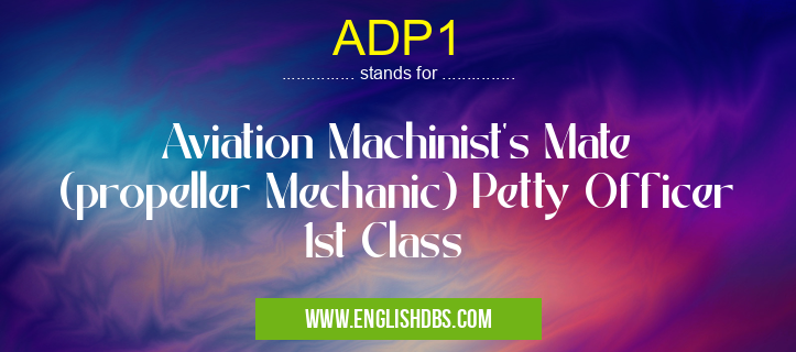 ADP1 means Aviation Machinist's Mate (propeller Mechanic) Petty Officer 1st Class ADP1
