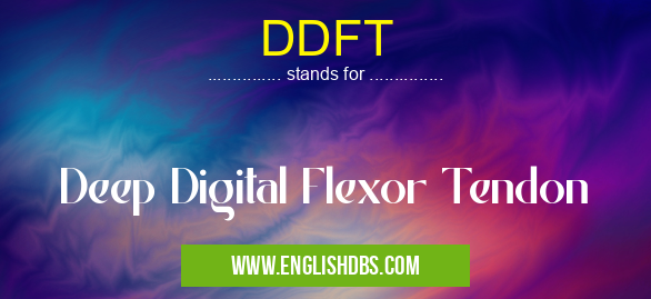 DDFT means Deep Digital Flexor Tendon DDFT