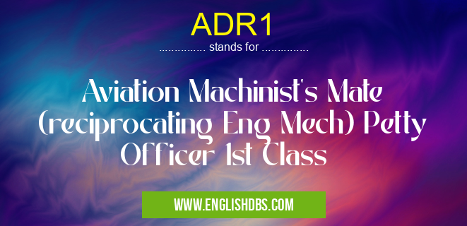 ADR1 means Aviation Machinist's Mate (reciprocating Eng Mech) Petty Officer 1st Class ADR1