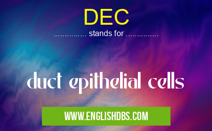 DEC means duct epithelial cells DEC