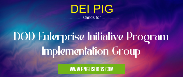 DEI PIG means DOD Enterprise Initiative Program Implementation Group DEI PIG