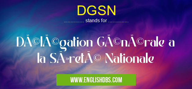 DGSN means Délégation Générale a la Sûreté Nationale DGSN