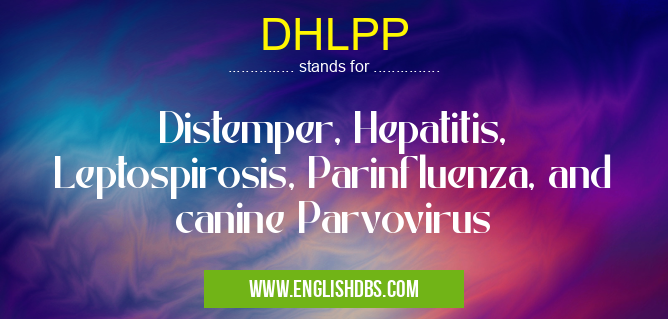 DHLPP means Distemper, Hepatitis, Leptospirosis, Parinfluenza, and canine Parvovirus DHLPP