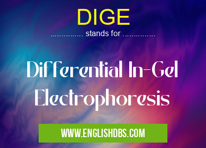 DIGE means Differential In-Gel Electrophoresis DIGE