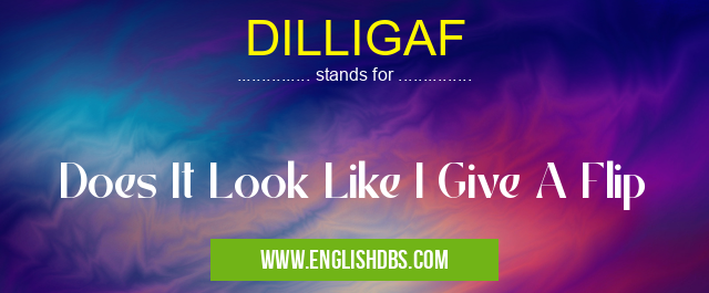 DILLIGAF means Does It Look Like I Give A Flip DILLIGAF