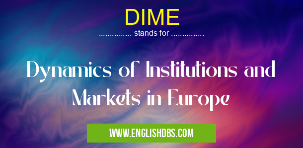 DIME means Dynamics of Institutions and Markets in Europe DIME