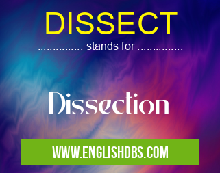 DISSECT means Dissection DISSECT