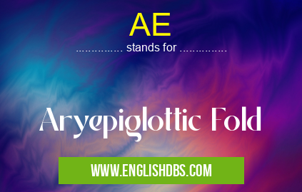 AE means Aryepiglottic Fold AE