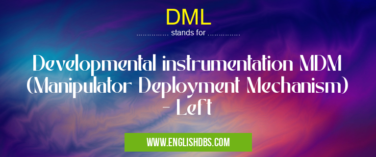 DML means Developmental instrumentation MDM (Manipulator Deployment Mechanism) - Left DML