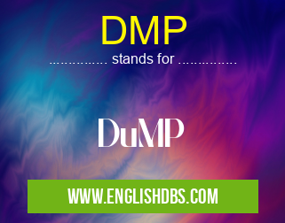 DMP means DuMP DMP