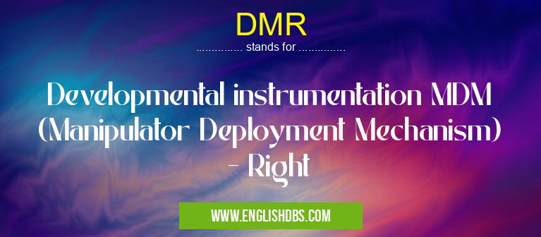 DMR means Developmental instrumentation MDM (Manipulator Deployment Mechanism) - Right DMR