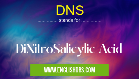 DNS means DiNitroSalicylic Acid DNS