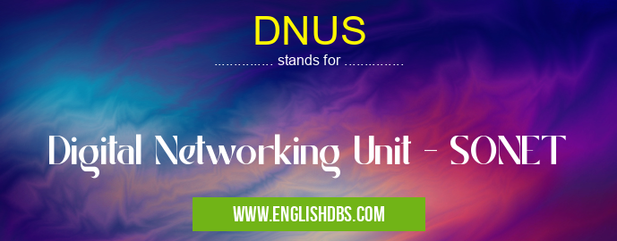 DNUS means Digital Networking Unit - SONET DNUS