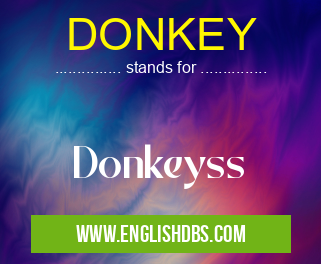 DONKEY means Donkeyss DONKEY