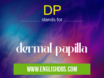 DP means dermal papilla DP