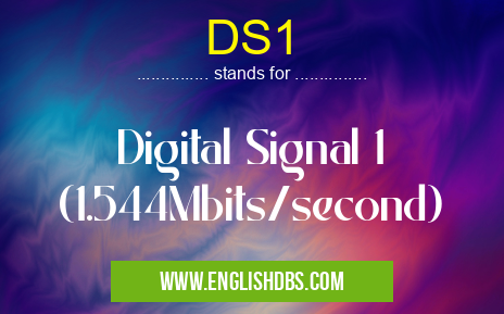 DS1 means Digital Signal 1 (1.544Mbits/second) DS1