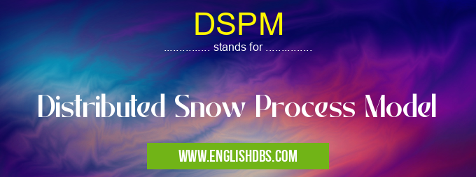 DSPM means Distributed Snow Process Model DSPM