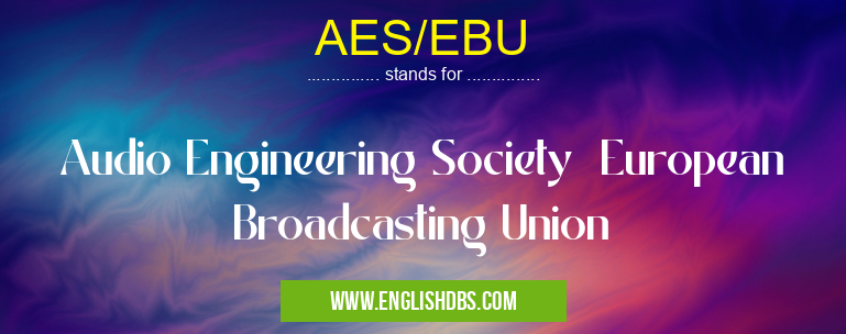 AES/EBU means Audio Engineering Society European Broadcasting Union AES/EBU