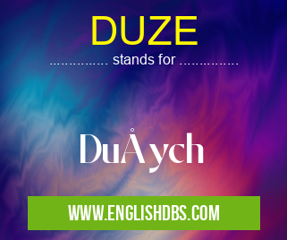DUZE means Dużych DUZE
