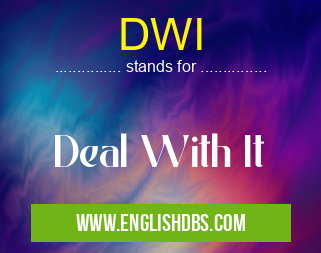 DWI means Deal With It DWI