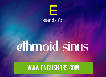 E means ethmoid sinus E