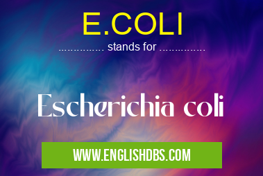 E.COLI means Escherichia coli E.COLI