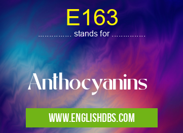 E163 means Anthocyanins E163