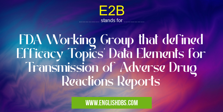 E2B means FDA Working Group that defined Efficacy Topics' Data Elements for Transmission of Adverse Drug Reactions Reports E2B