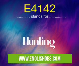 E4142 means Hunting E4142