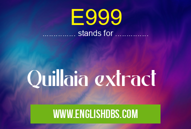 E999 means Quillaia extract E999