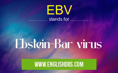EBV means Ebstein-Bar virus EBV