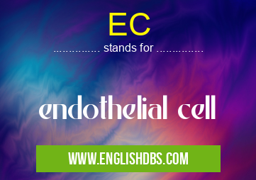 EC means endothelial cell EC