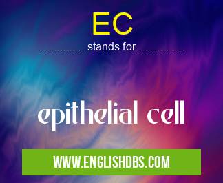EC means epithelial cell EC