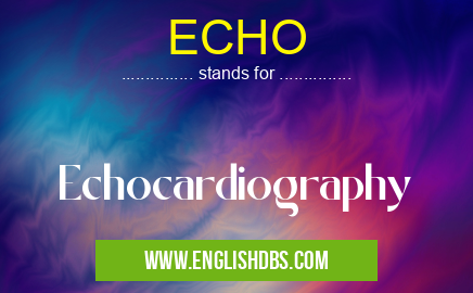 ECHO means Echocardiography ECHO