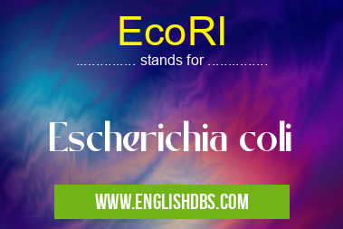 EcoRI means Escherichia coli EcoRI