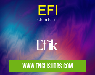 EFI means Efik EFI