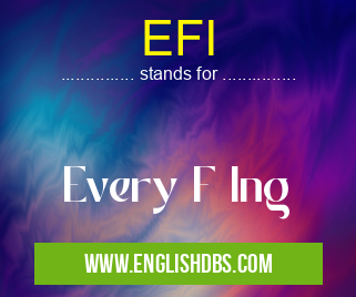 EFI means Every F Ing EFI
