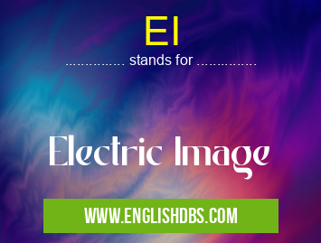 EI means Electric Image EI