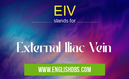 EIV means External Iliac Vein EIV