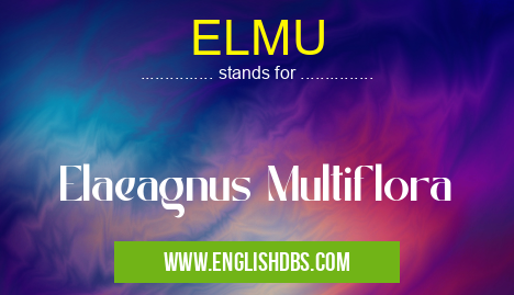 ELMU means Elaeagnus Multiflora ELMU
