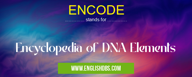 ENCODE means Encyclopedia of DNA Elements ENCODE